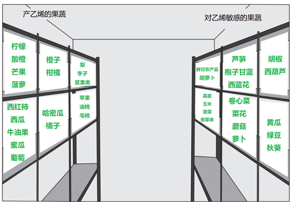 家人们 这两类水果在冰箱里真的不要放一起！